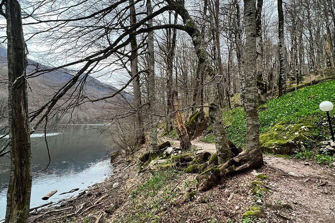 Biogradska Gora National Park Tour with Optional Add-Ons - Optional Extension to Skadar Lake with a Boat Tour