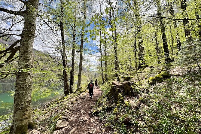 Biogradska Gora National Park Tour with Optional Add-Ons - Logistics, Group Size, and Flexibility