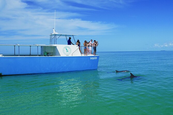 Biologist Owned & Operated: Dolphin Watching & Guided Snorkeling - Food, Drink, and Comfort Amenities