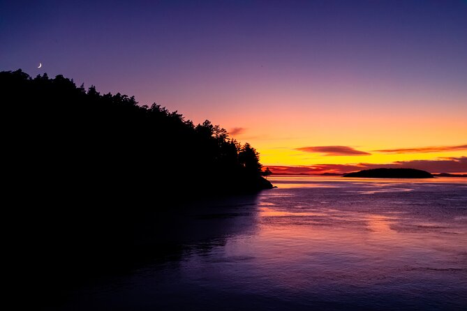 Bioluminescence and Sunset Kayak Tour in the San Juan Islands - Discover the Bioluminescent and Sunset Kayak Tour in the San Juan Islands