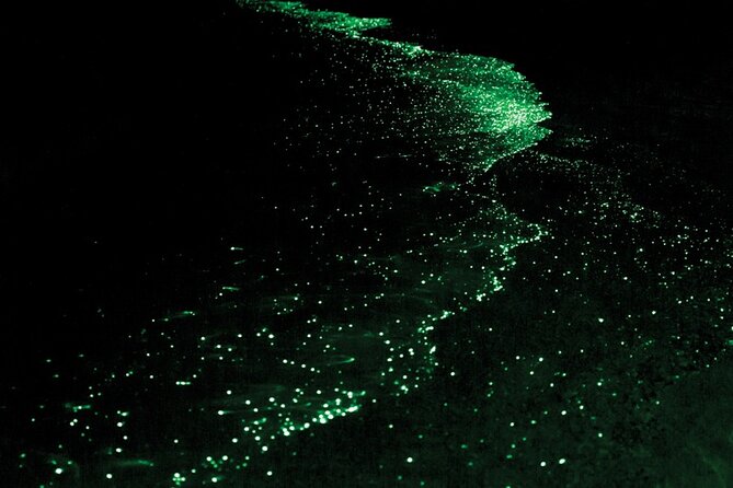 Bioluminescence and Sunset Kayak Tour in the San Juan Islands - Key Points