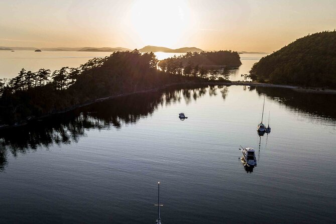 Bioluminescence and Sunset Kayak Tour in the San Juan Islands - Expert Guidance and Environmental Respect