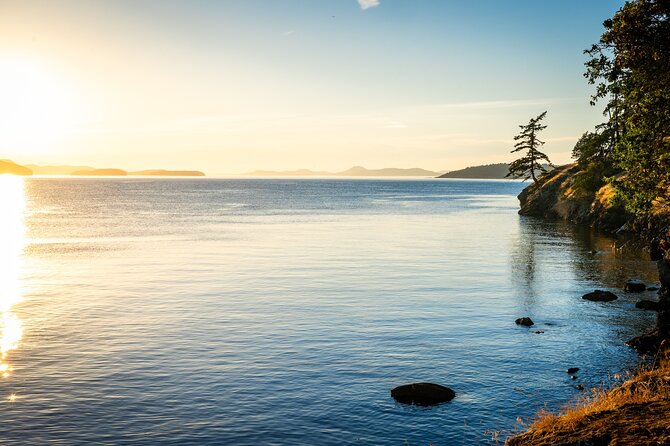Bioluminescence and Sunset Kayak Tour in the San Juan Islands - Physical Requirements and Paddling Conditions
