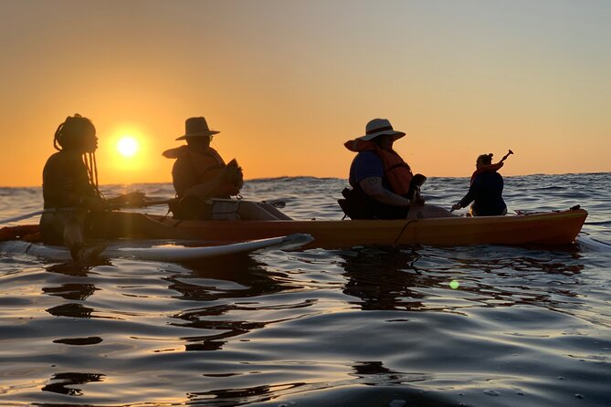 Bioluminescence by kayak or SUP to Los Arcos Puerto Vallarta - Paddling to Los Arcos Marine Park