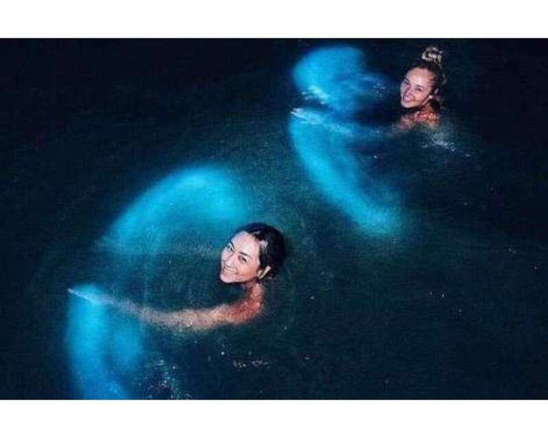 BIOLUMINESCENCE IN PUERTO ESCONDIDO - Key Points