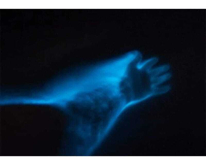 BIOLUMINESCENCE IN PUERTO ESCONDIDO - Comparing This Tour to Similar Experiences