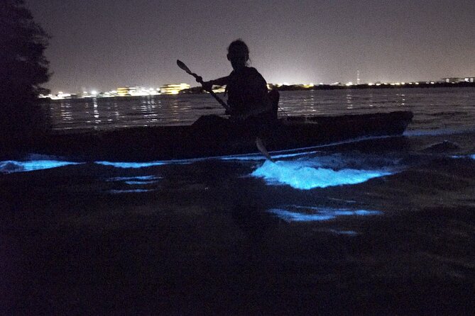 Bioluminescence Kayak Tour - Key Points
