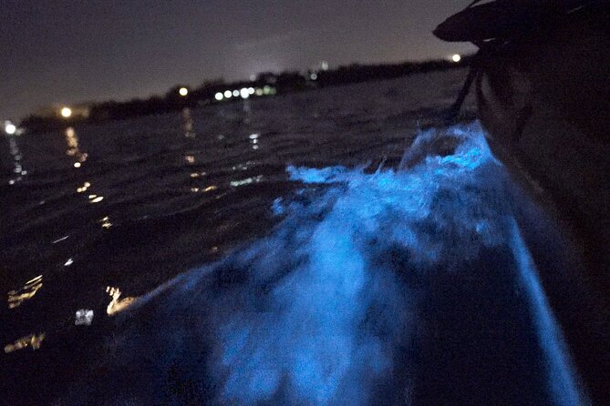 Bioluminescence Kayak Tour - The Experience of Bioluminescent Organisms