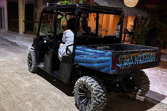 Bioluminescence Tour by Car at Holbox - What to Expect During the Night Experience