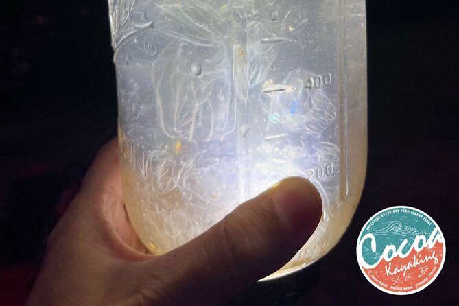 Bioluminescent Clear Bottom Kayak or Paddleboard Sit-On-Top Kayak Hybrid Tour! - Exploring Cocoa Beachs Thousand Islands by Kayak