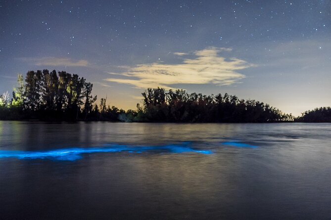 Bioluminescent Clear Kayak Tours in Titusville - The Kayaks: Clear and Unobstructed Views