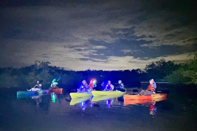 Bioluminescent Kayak Tour in Floridas Indian River Lagoon - Starting Point at Brevard County with a View of Space and Stars