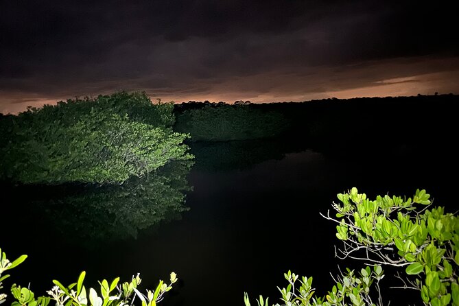 Bioluminescent Kayak Tour in Floridas Indian River Lagoon - Practical Tips for a Smooth Night Paddling Experience