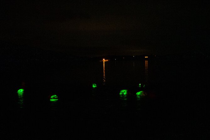 Bioluminescent Swim Experience in West Cork with Storytelling - Key Points