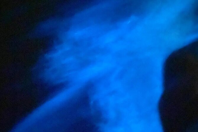 Bioluminiscense Lagoon Tour - Puerto Escondido Starting Point and Pickups