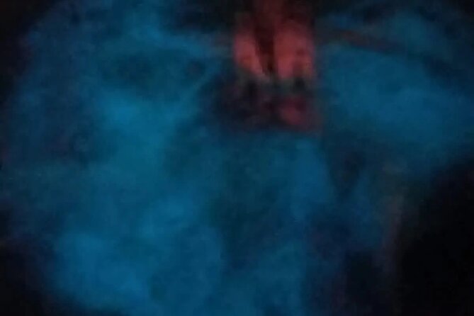 Bioluminiscense Lagoon Tour - Limitations and Considerations