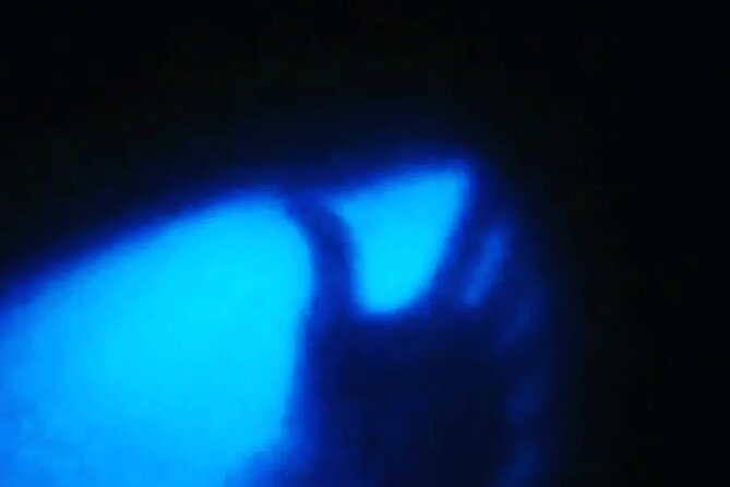 Bioluminiscense Lagoon Tour - Frequently Asked Questions