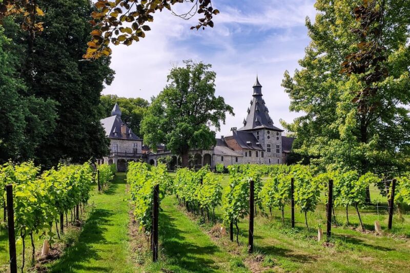 Bioul (near Dinant) : Château de Bioul Tour and Wine Tasting - The Historic Château de Bioul Since the 10th Century