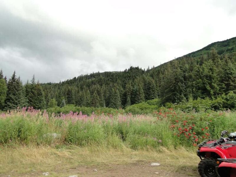 Bird Creek: Chugach State Park ATV Nature Tour & Hike - Key Points