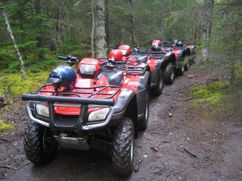 Bird Creek: Chugach State Park ATV Nature Tour & Hike - Meet at the Bird Valley Trailhead in Bird Creek, Alaska