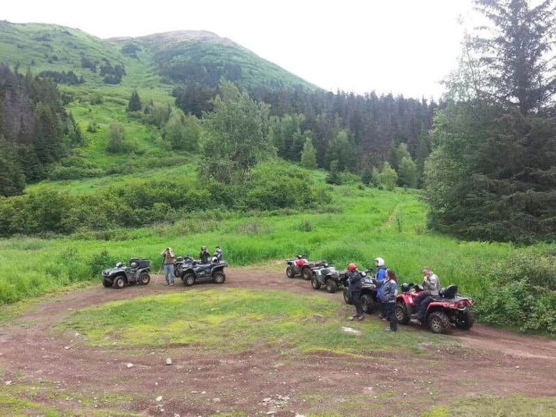 Bird Creek: Chugach State Park ATV Nature Tour & Hike - Wildlife Spotting and Natural Habitat Encounters