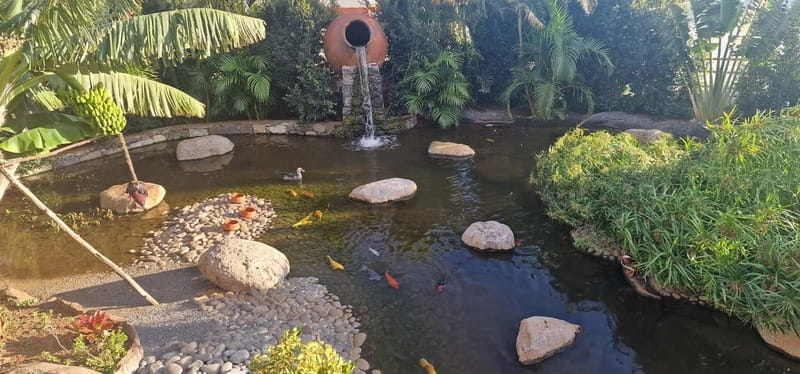 Bird Island sweet west tour - Ponta do Pargo Lighthouse and Rocky Beaches