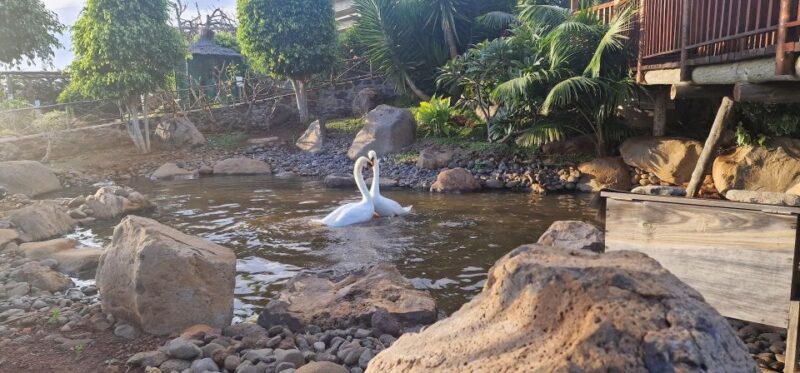 Bird Island sweet west tour - Who Will Enjoy This Madeira West Tour