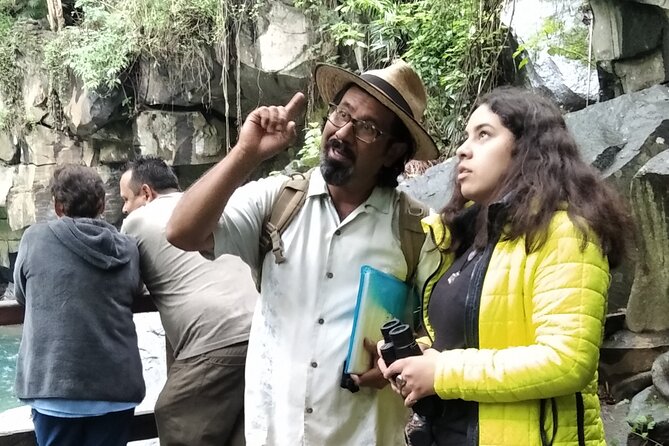 Bird Observation in the National Park of Uruapan. - Explore Bird Observation in Uruapan’s National Park with a Private Guide