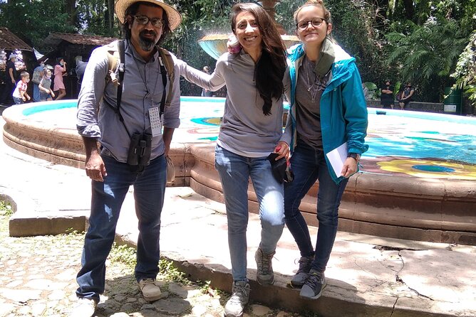 Bird Observation in the National Park of Uruapan. - Practical Meeting Point and Convenient Location