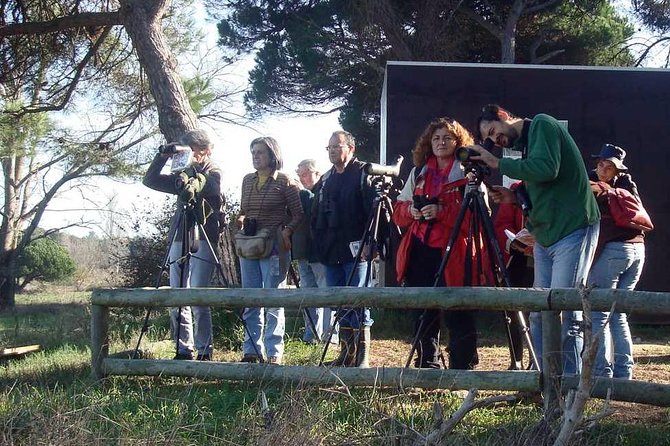 Bird Watching in Albufeira Lagoon - Insights from Reviews: What Makes This Tour Stand Out