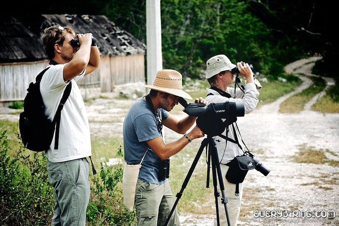 Bird Watching in Sian Ka´an Muyil - Exploring Sian Ka´an Biosphere Reserve by Boat