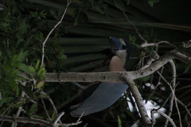 Bird Watching Tour Huatulco HT - Cancellation and Booking Policies for Peace of Mind