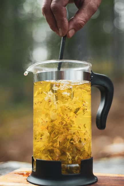 Birdhouse Workshop Forest Walk & Wilderness Lunch in Kuusamo - Frequently Asked Questions