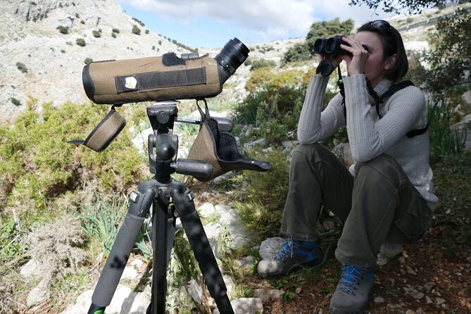 Birding Costa del Sol Day tour - Birdwatching at Playa Guadalhorce Estuary