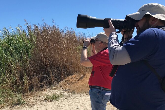 Birding Tour in La Paz Mexico - Key Points