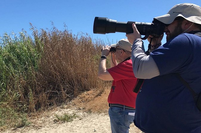 Birding Tour in La Paz Mexico - What to Expect at the First Stop in La Paz