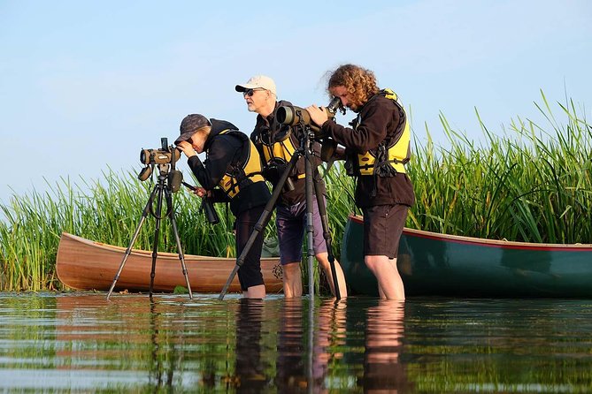BIRDWATCH - Premium guided canoe tour at Cape Vente, Nemunas Delta Regional Park - Explore the Nemunas Deltas Birdwatching Paradise in a Handmade Canoe for $152.70