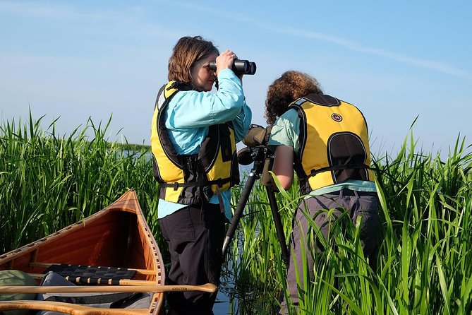 BIRDWATCH - Premium guided canoe tour at Cape Vente, Nemunas Delta Regional Park - Key Points