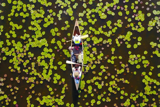 BIRDWATCH - Premium guided canoe tour at Cape Vente, Nemunas Delta Regional Park - Birdwatching from the Water and Observation Tower