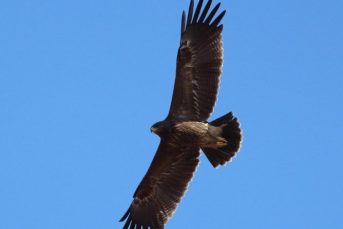 Birdwatching and cultural heritage tour from Varna - Visiting Shumen Fortress on a High Plateau