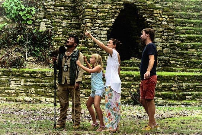 Birdwatching at The Mayan Cities with certified guide - Practical Details: Booking, Cancellation, and Accessibility