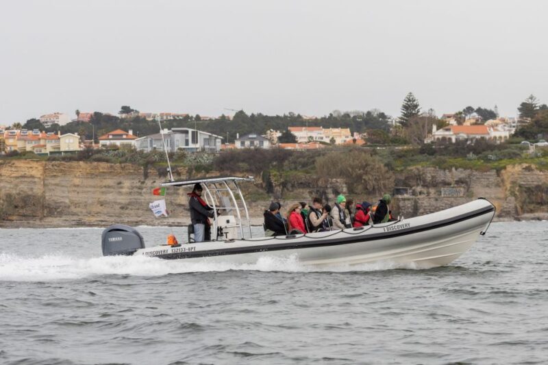 Birdwatching Boat Tour in the Tagus Estuary - What Sets This Tour Apart from Similar Experiences
