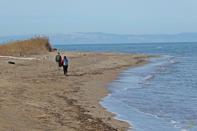 Birdwatching Boccadoro: the wildlife of the wetland - Traversing the Marshes and Cultivated Fields