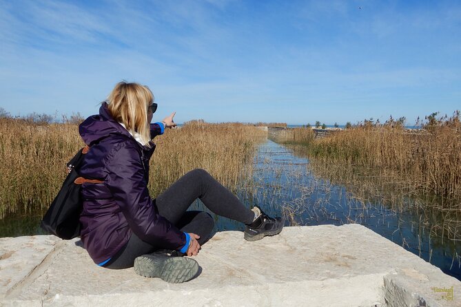 Birdwatching Boccadoro: the wildlife of the wetland - The Role of the Guide and Naturalist Explanation