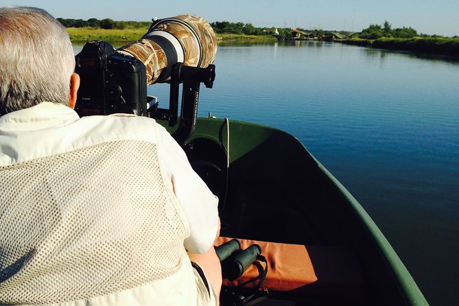 Birdwatching by boat in a small group in the Pialassa Baiona - The Small-Group Boat Experience in Emilia-Romagna