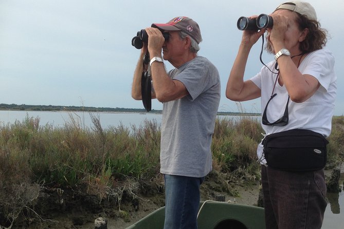 Birdwatching by boat in a small group in the Pialassa Baiona - The Cultural and Historical Context of Pialassa Baiona