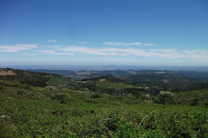 Birdwatching day in the Monchique hills - Who Will Enjoy This Tour Most?