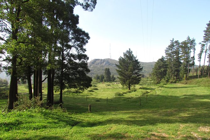 Birdwatching day in the Monchique hills - Final Thoughts on the Monchique Hills Birdwatching Tour