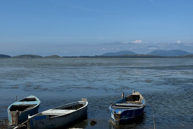 Birdwatching Experience in Narte Lagoon & Akerni Dunes - Who Will Enjoy the Birdwatching Tour in Vlore?