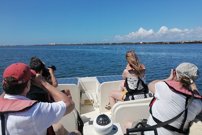 Birdwatching in Ria Formosa - Eco Boat Tour from Faro - The Eco Boat: Silent Travel and Environmentally Friendly Design